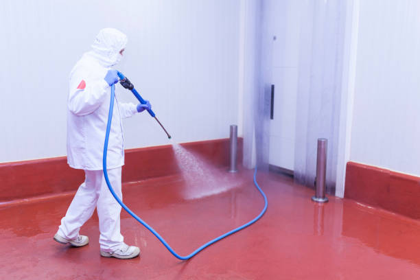 Best Building Exterior Washing  in West Des Moines, IA